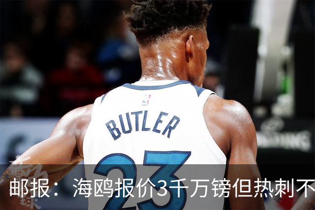 邮报：海鸥报价3千万镑但热刺不愿卖武什科维奇 巴萨国米拜仁关注